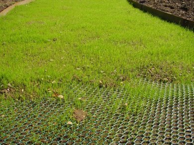 Grass grows through the TYPAR Turfprotecta plastc mesh