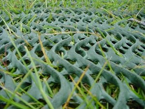 Grass reinforcement mesh structure from TYPAR