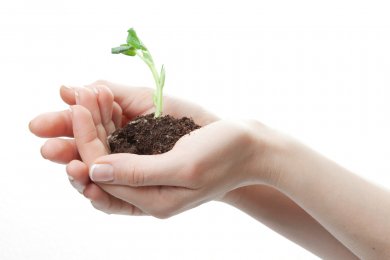 TYPAR solutions for SSI (Sustainable Sites Initiative)