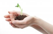 SSI (Sustainable Sites Initiative)