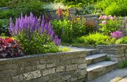 Garden Centers and Nurseries