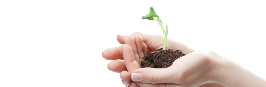 Sustainability