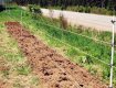 TYPAR root control geotectile is covered with soil