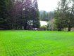 Grass grown through GrassProtecta