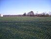 Typar Grass reinforcement mesh installed