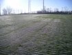 TYPAR GrassProtecta drivable grass reinforcement mesh