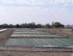 TYPAR grass reinforcement mesh laid ready for the grass to grow through