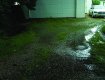 Driveway before BodPave installed
