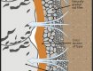 TYPAR drainage geotextiles and composites