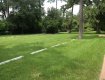 Grass quickly grew through the plastic mesh grass reinforcement.