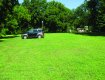 Grass grows through the GrassProtecta grass reinforcement mesh