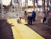 TYPAR Biobarrier stops root growth